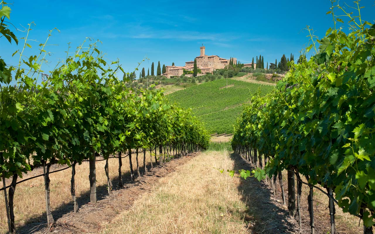 2017_Montalcino_Castello_poggio_alle-_mura_Banfi@free_low