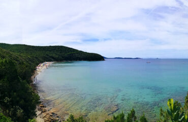 Imm_SPIAGGE_CALA-VIOLINA_800x600_03