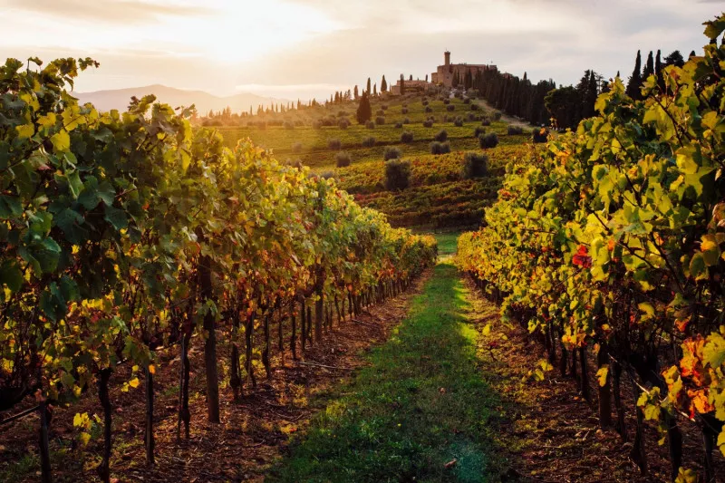 Montalcino-weekend-what-to-do-Cover_20210907_4491625998988