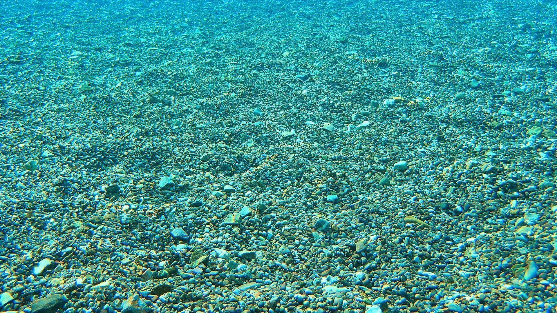 P3310095