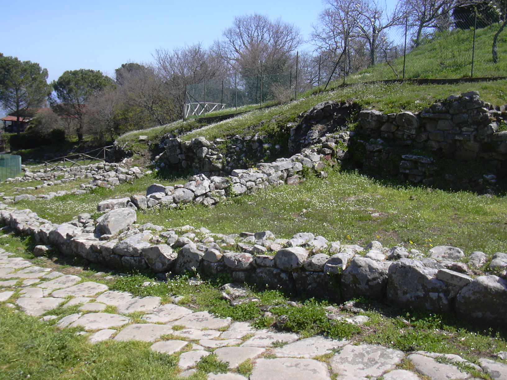 Vetulonia 1