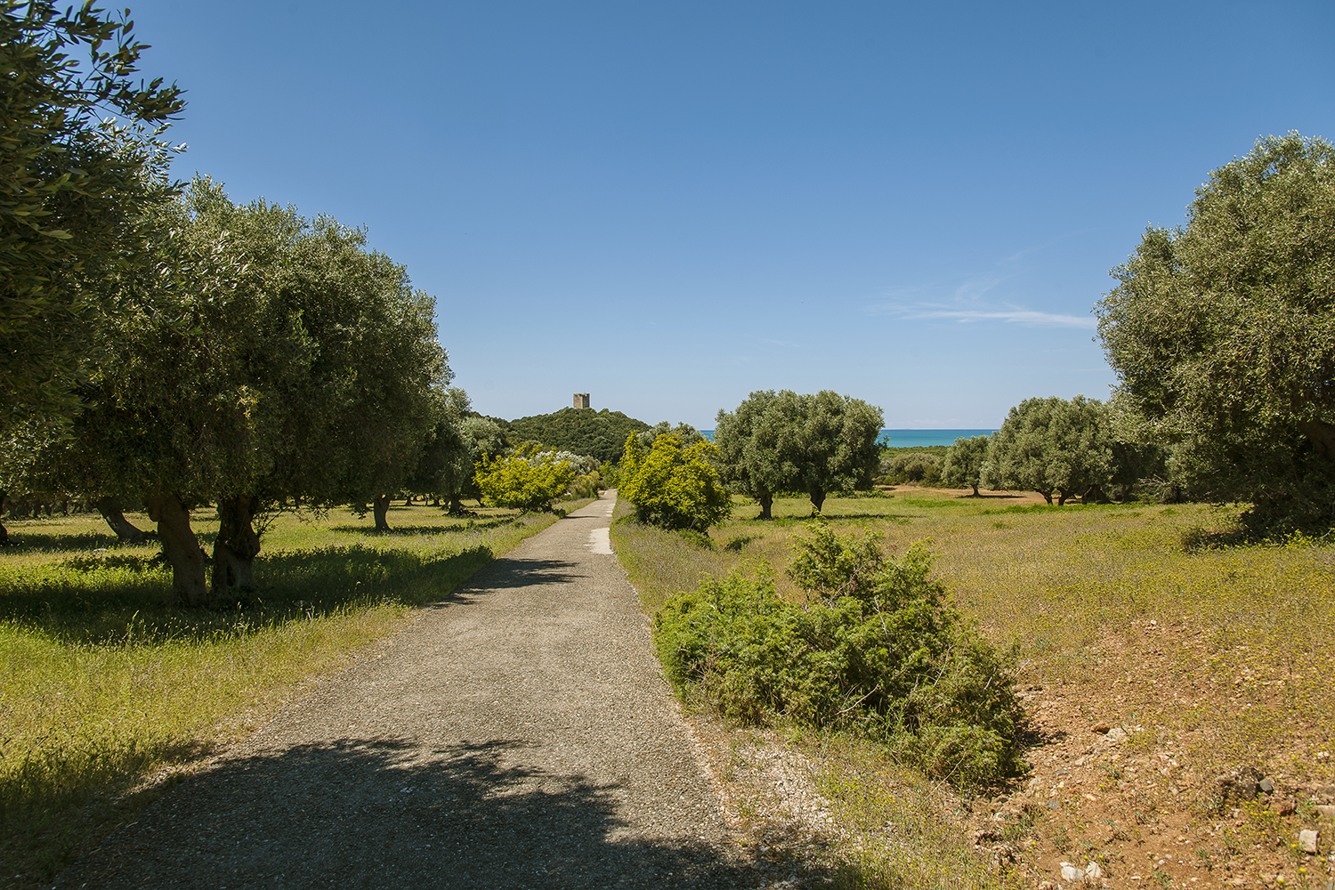 parco-dell-uccellina-parco-naturale-della-maremma-1558366127