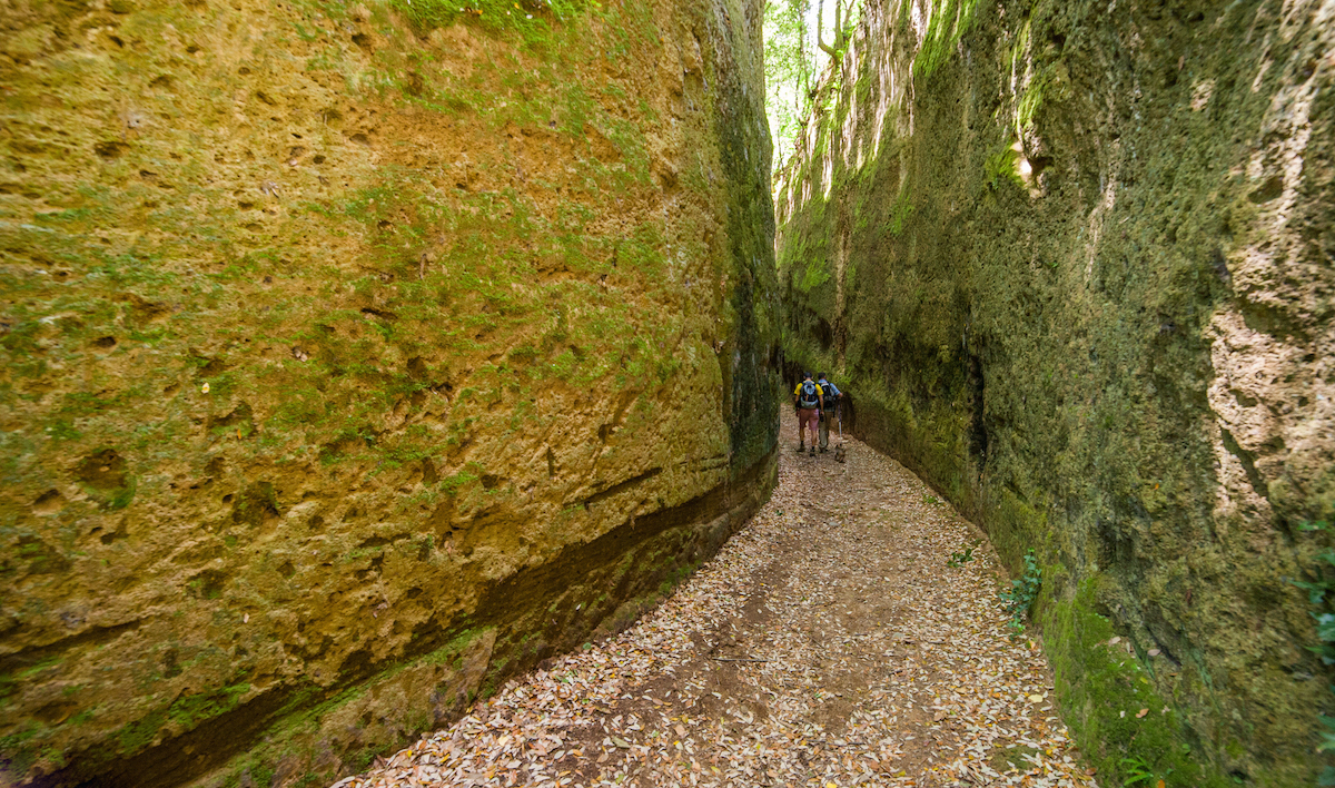 viecave (1)