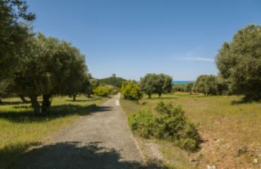 parco-dell-uccellina-parco-naturale-della-maremma-1558366127-280×187