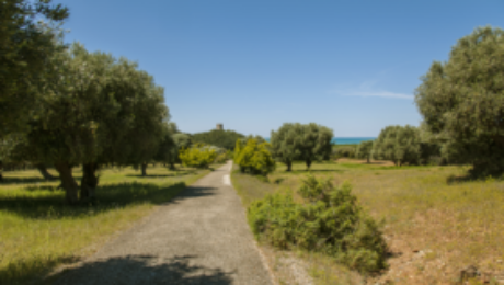 parco-dell-uccellina-parco-naturale-della-maremma-1558366127-280×187
