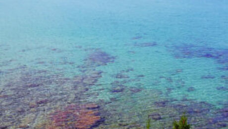 Imm_SPIAGGE_CALA-VIOLINA_800x600_04-300×225